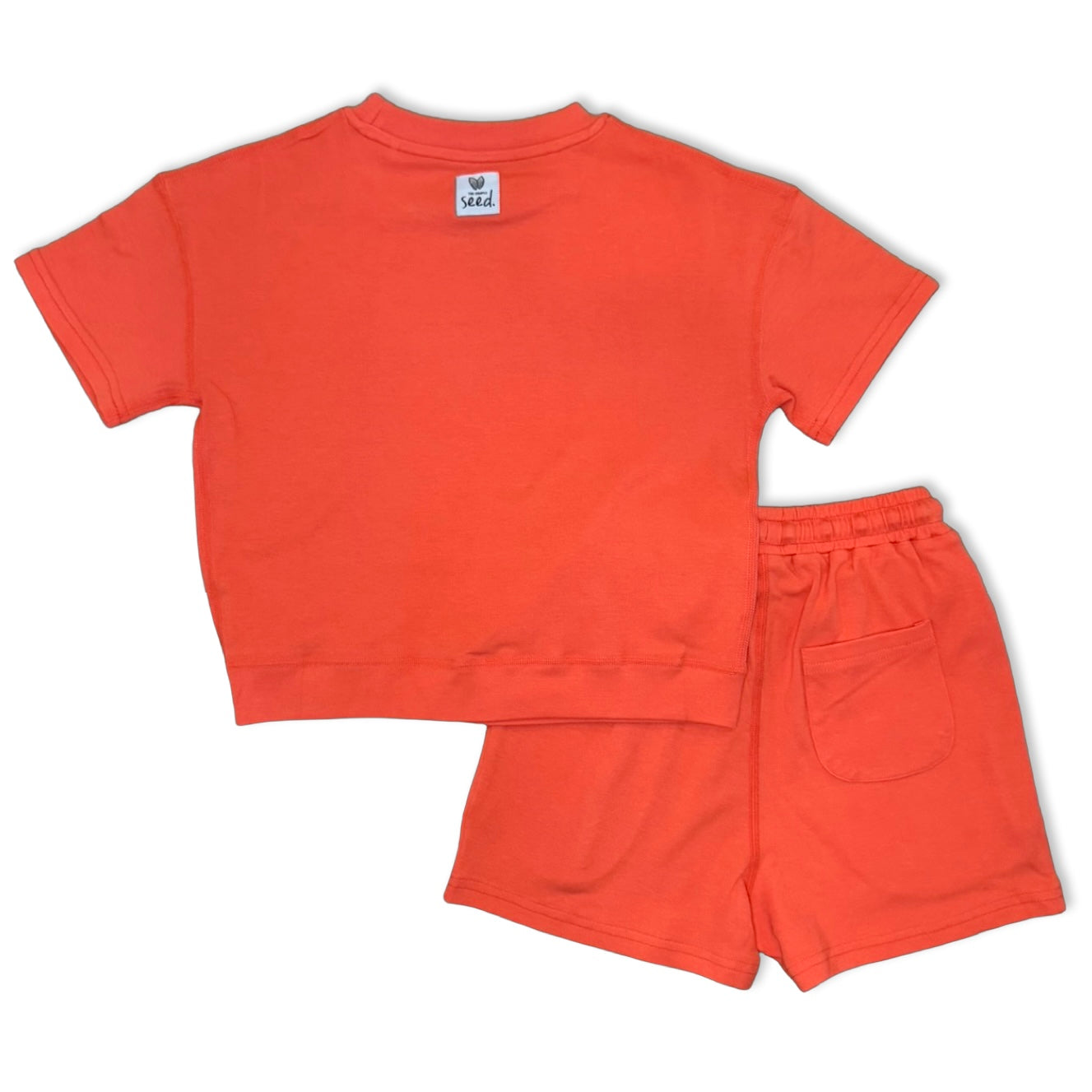 Orange t-shirt and shorts set on a white background
