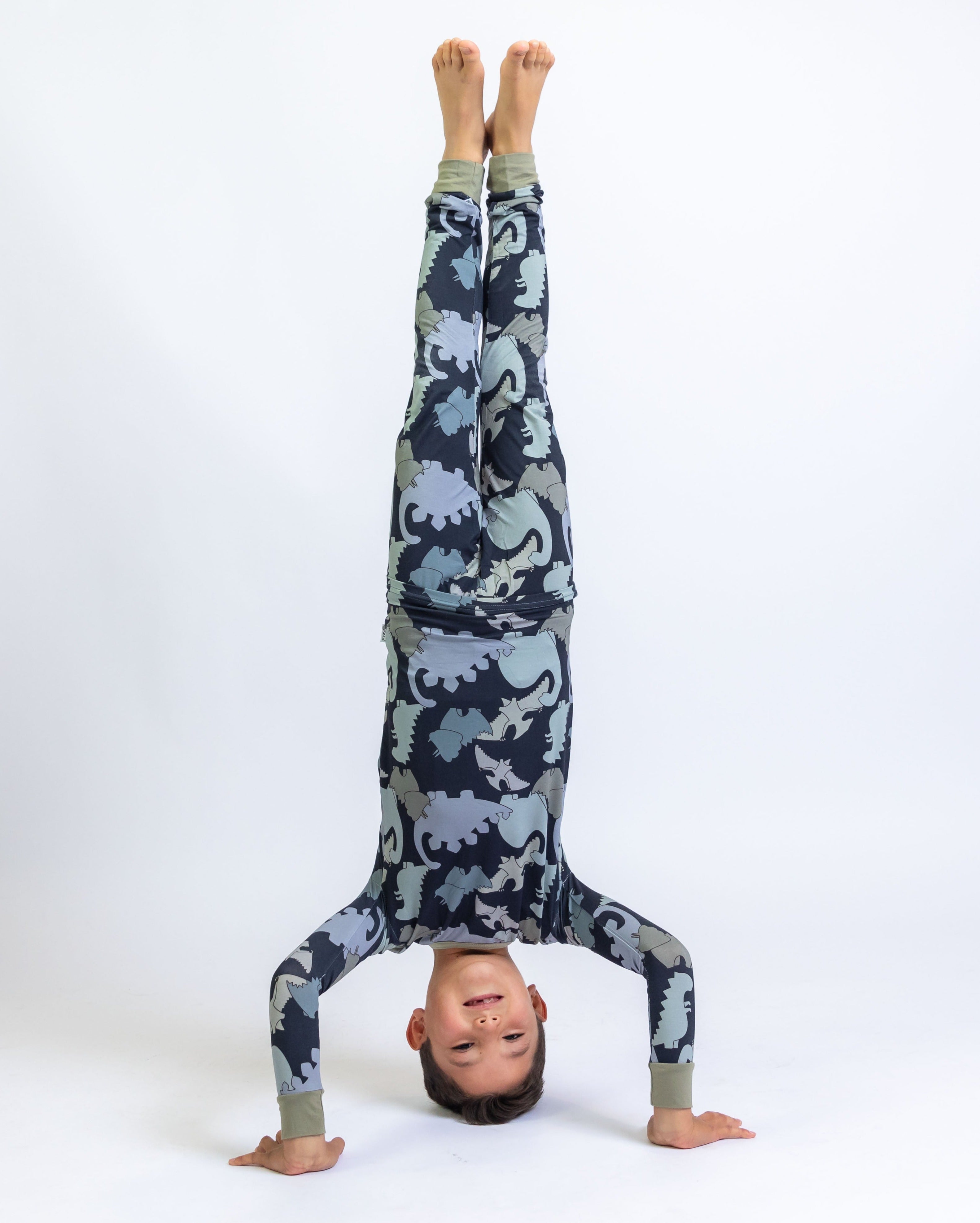 Dino Two Piece Kid's Jammie Set