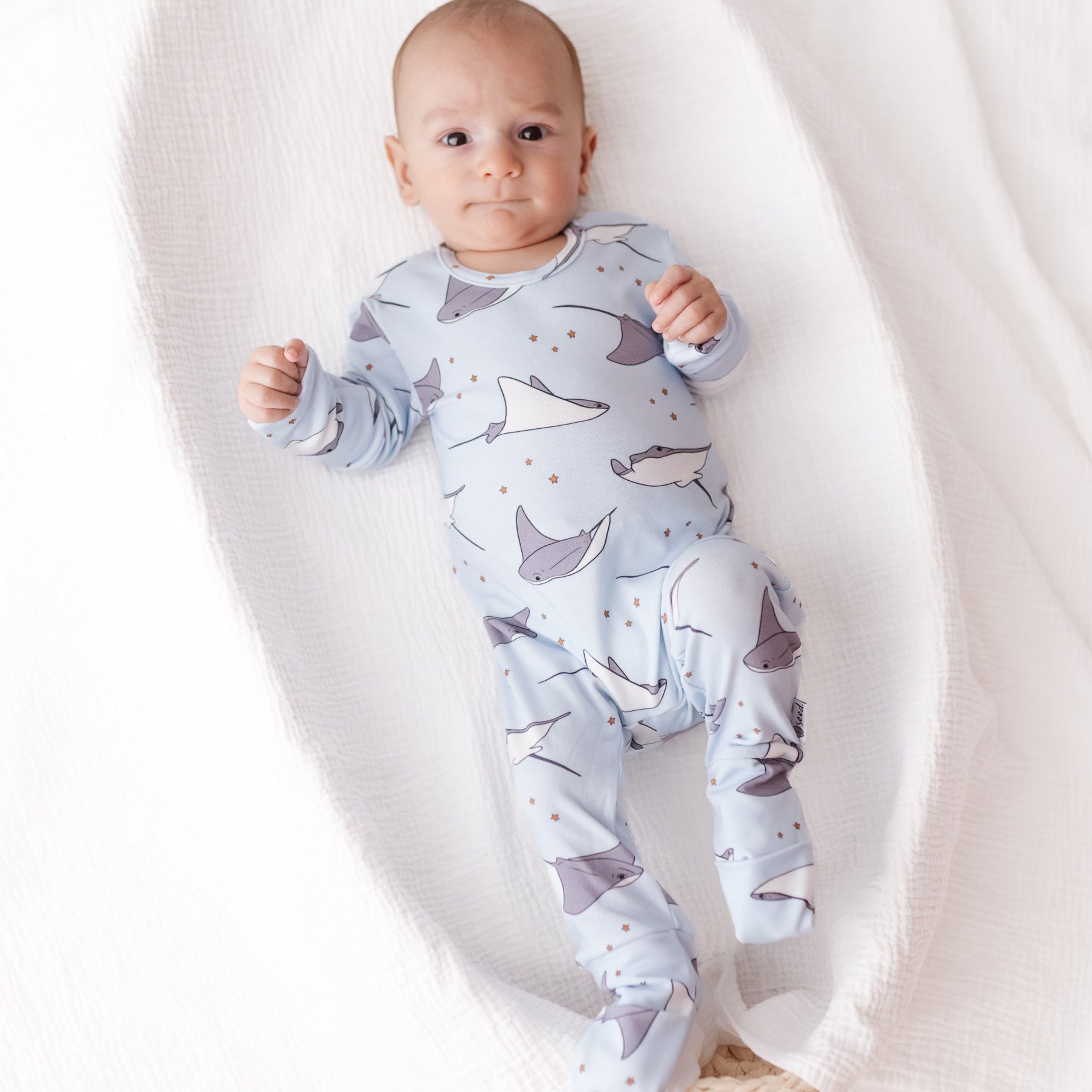 Baby wearing a onesie with stingray pattern on a white background