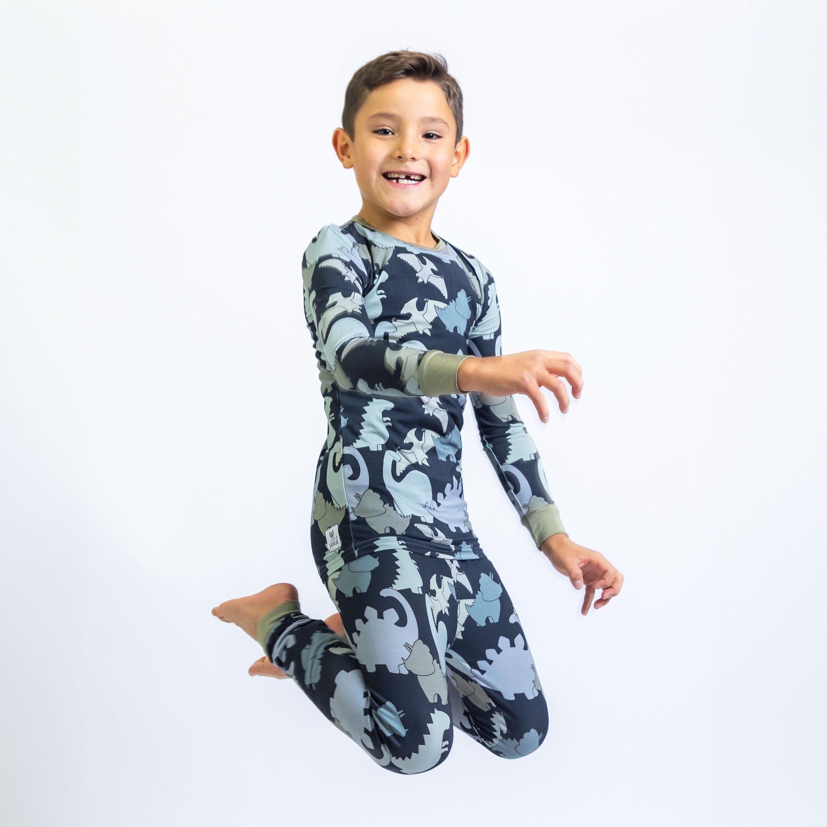 Dino Two Piece Kid's Jammie Set