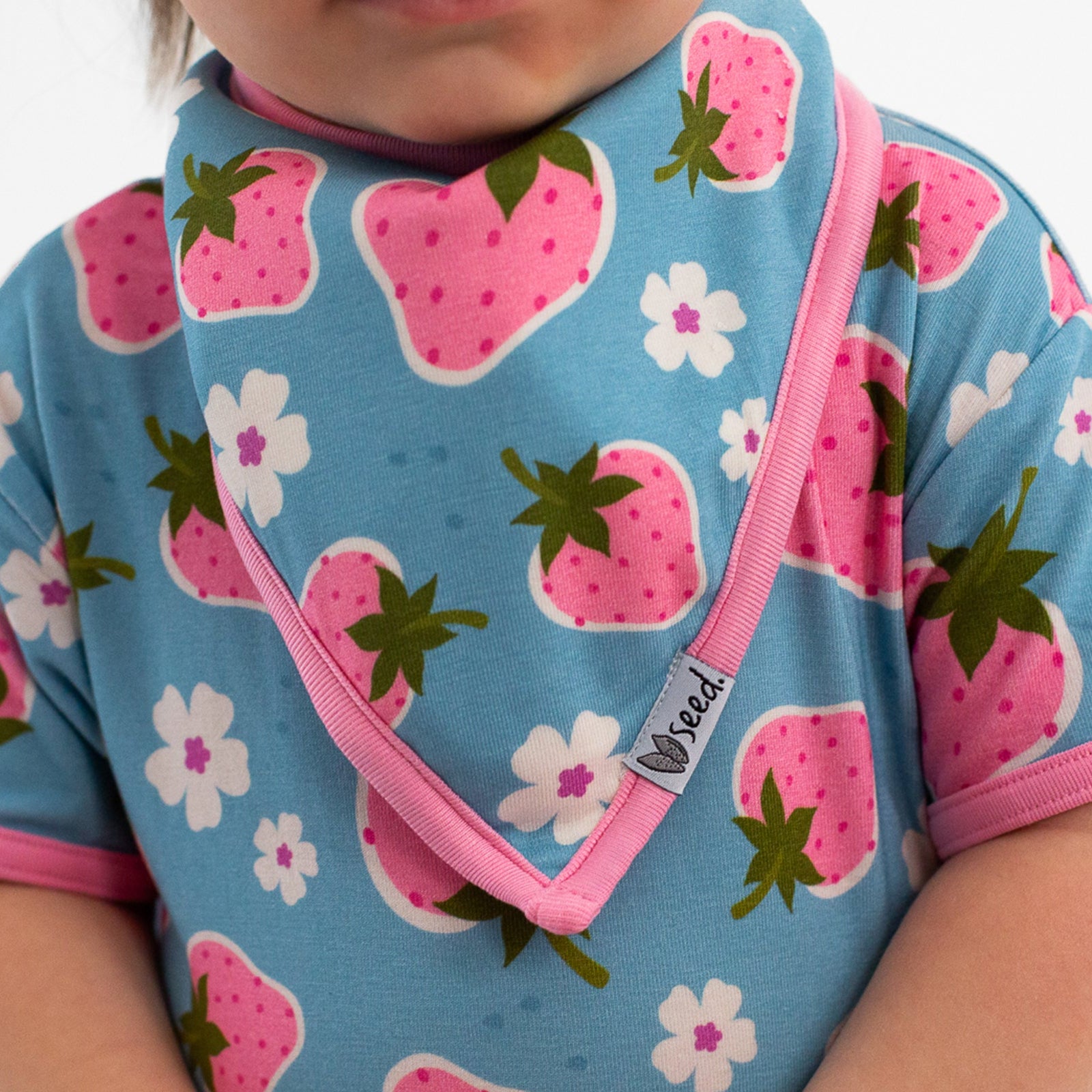 Strawberry Fields Bandana Bib