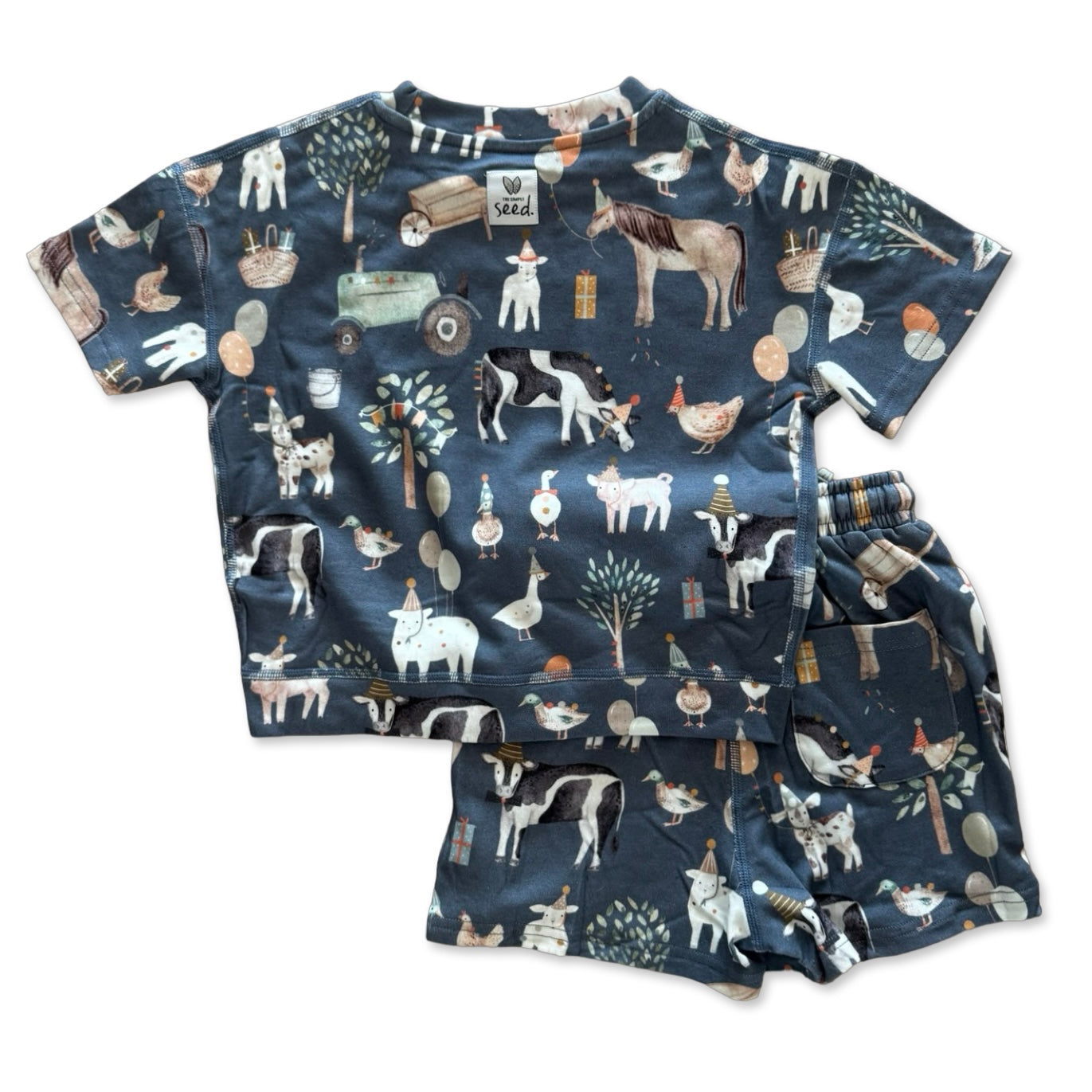 Farm Fiesta CALM CLOUD Short Set