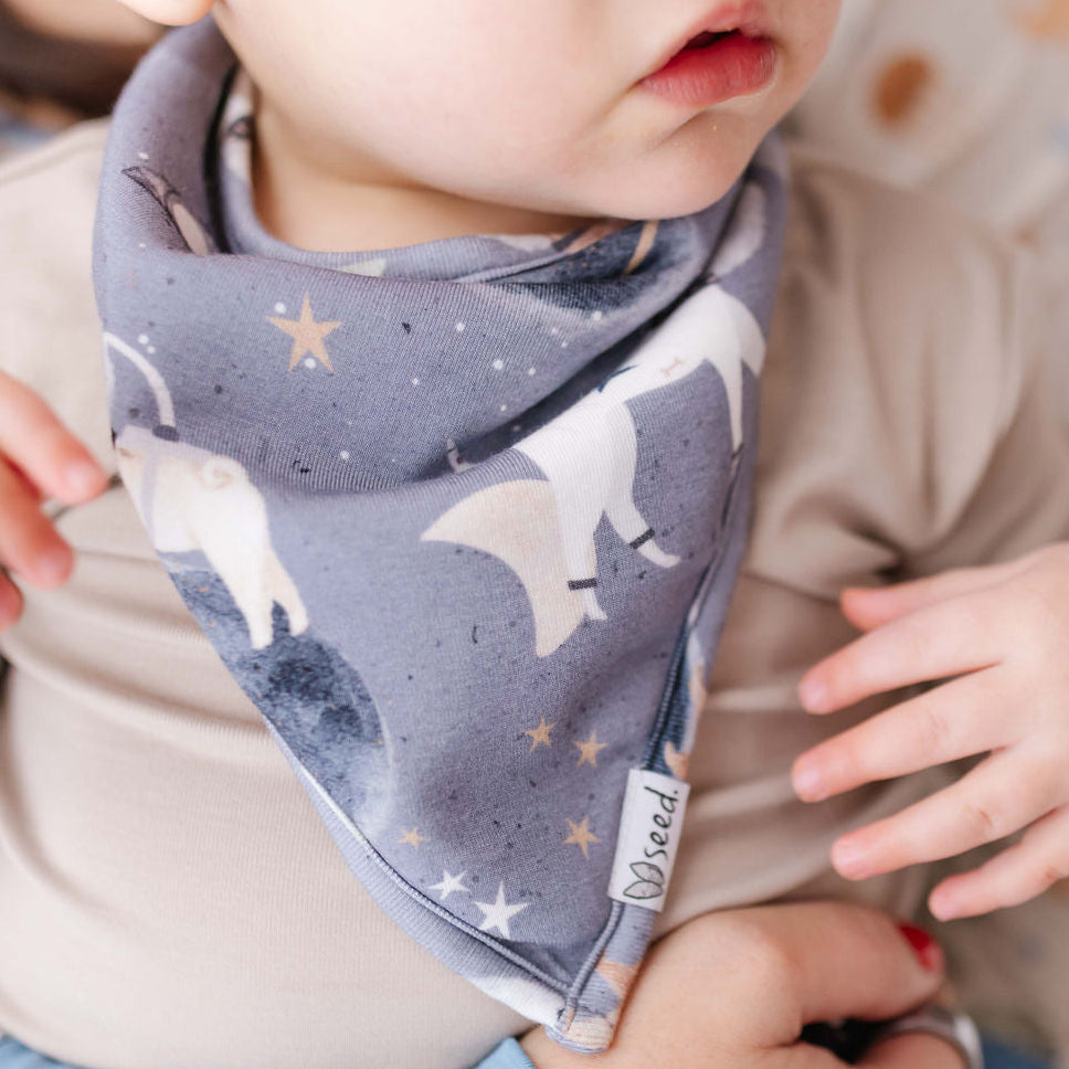 Child wearing a bib with star and moon pattern, held by an adult.