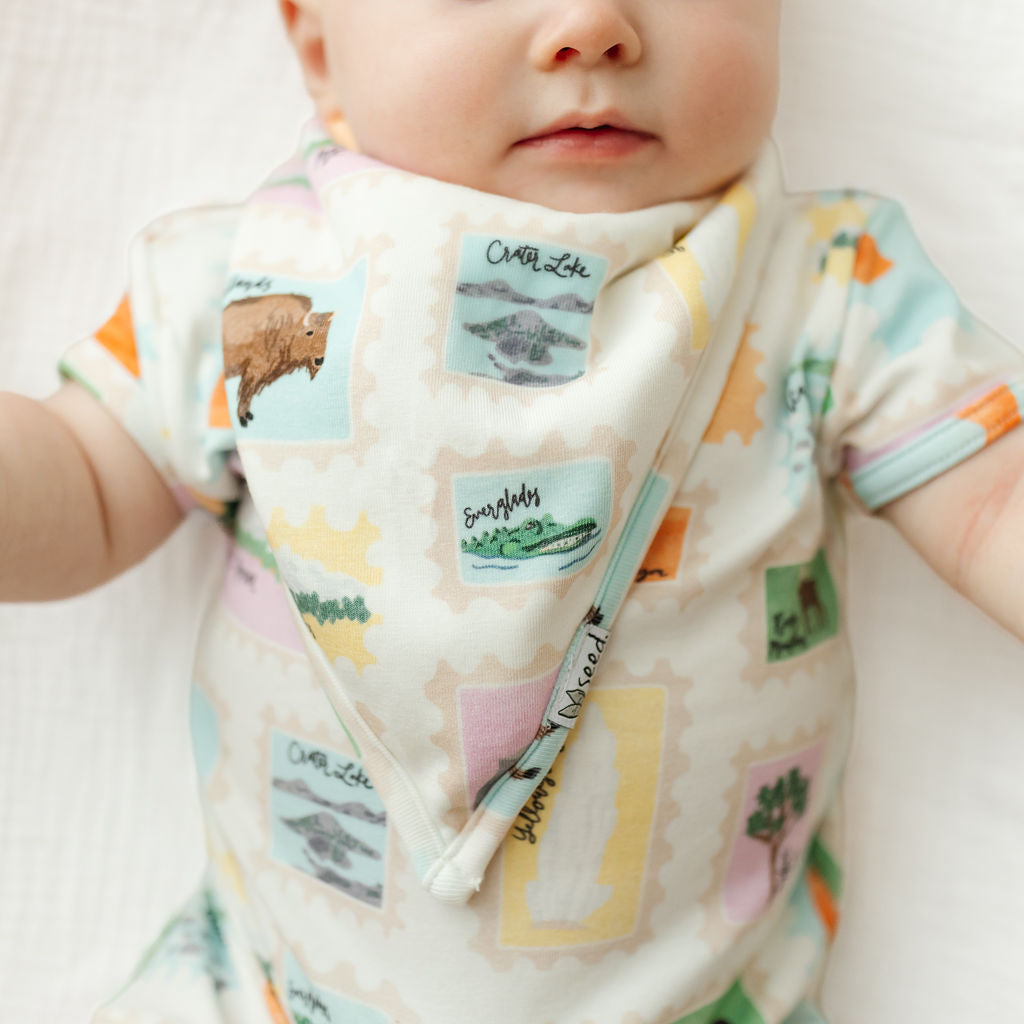 Road Trip Bandana Bib