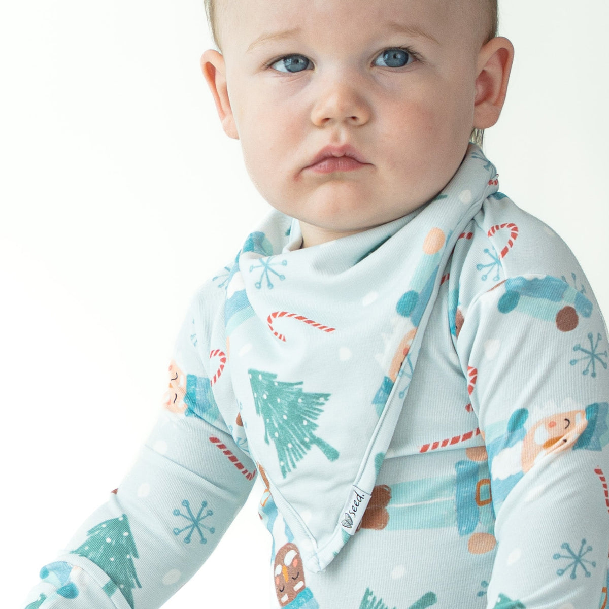 Frosted Flurry Soldiers Bandana Bib